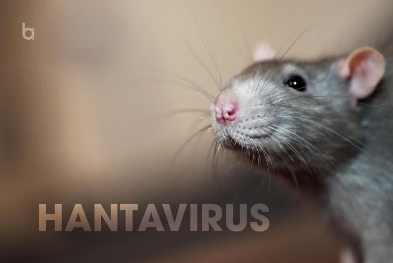 Hantavirus