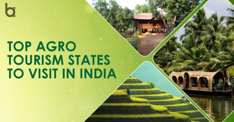 agro tourism project proposal in india