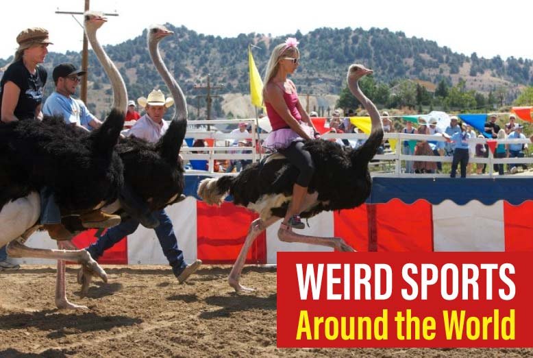 Weird Sports Around the World: Poohsticks, Bed Racing, and More!