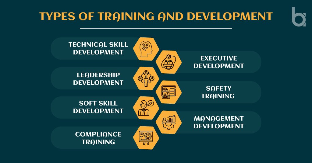 What is Training and Development in HRM [Updated 2024]