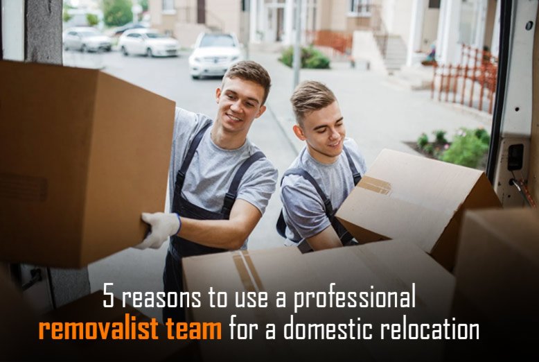 professional removalist team